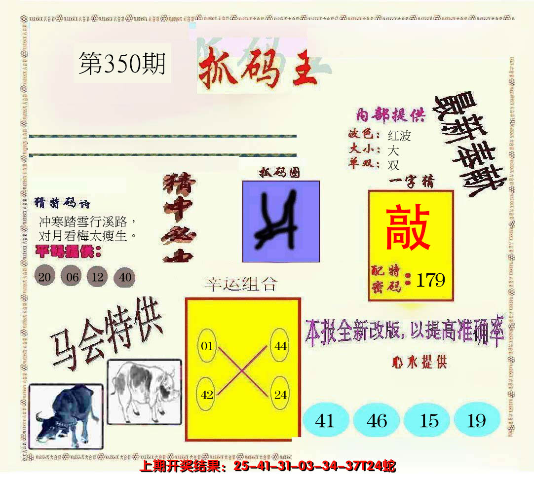 2024350期新抓码王