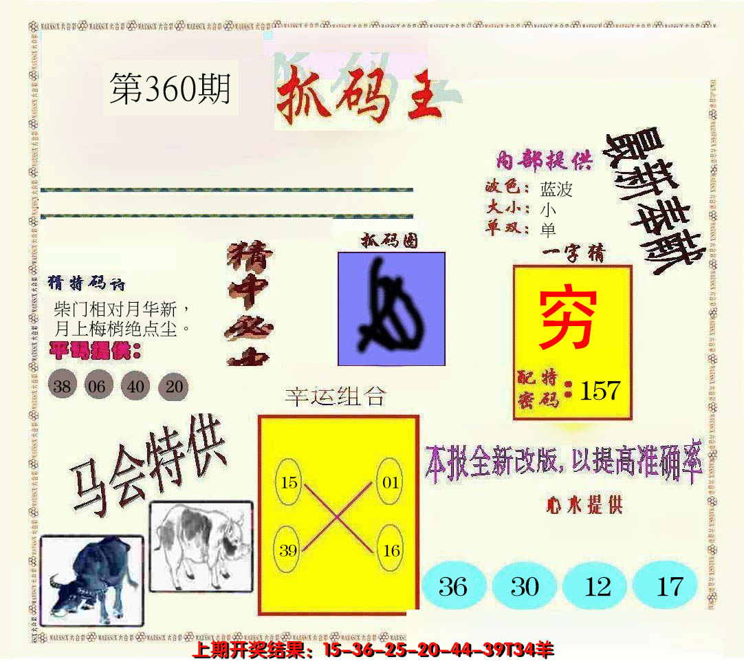 2024360期新抓码王