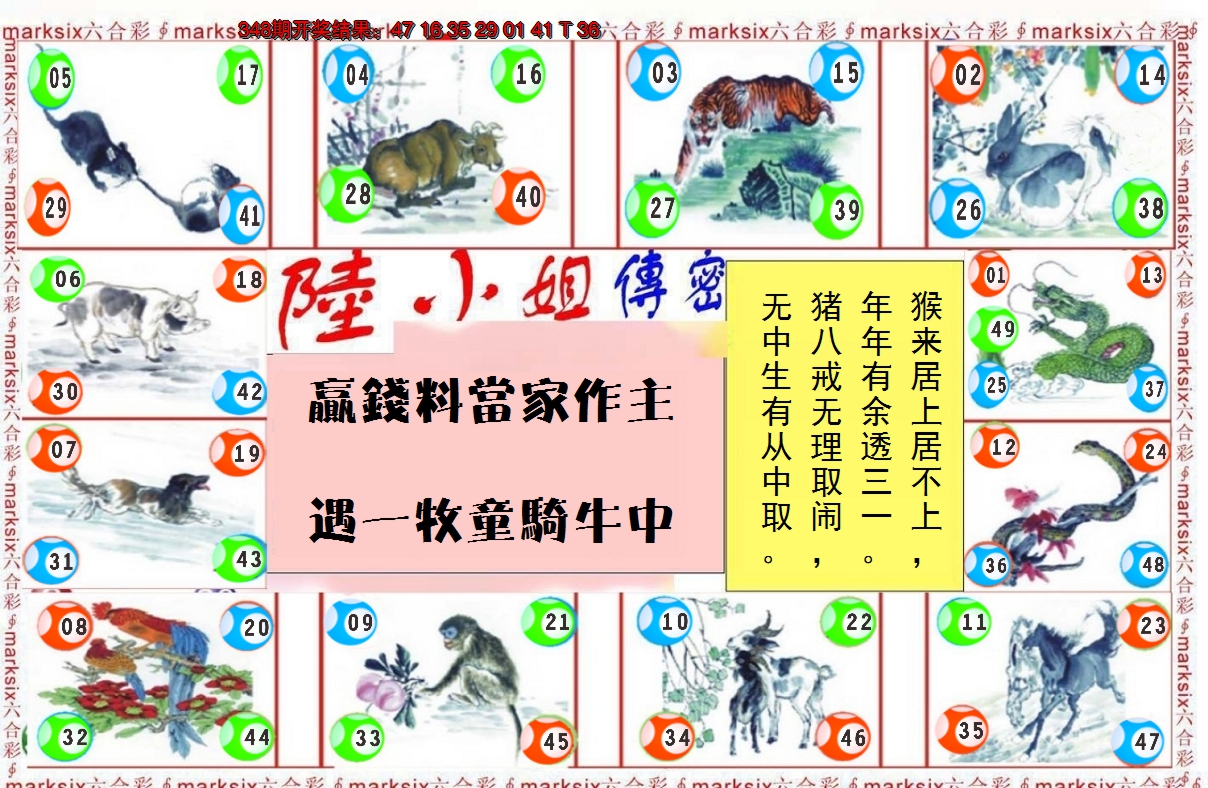 2024349期陆小姐传密B