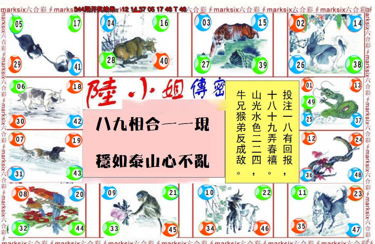 2024345期陆小姐传密B