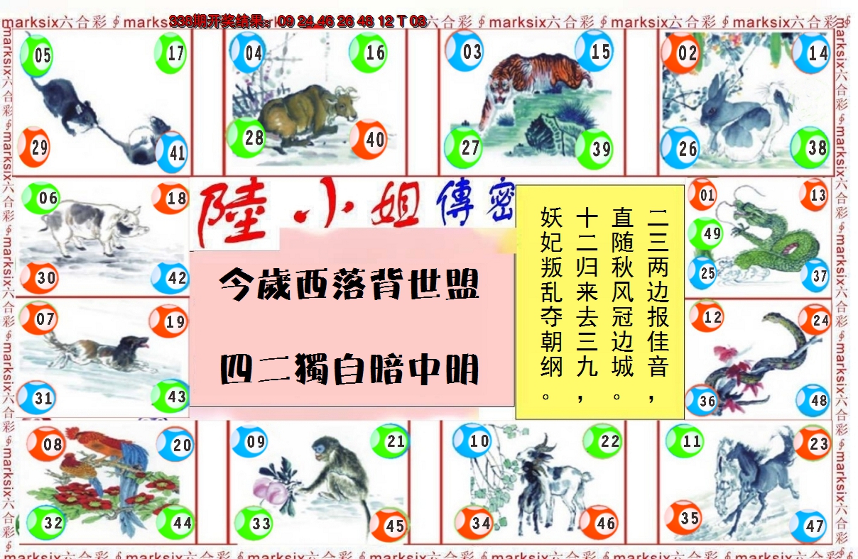 2024339期陆小姐传密B