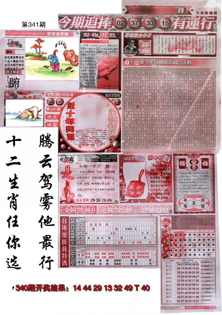 2024341期新六合精选B