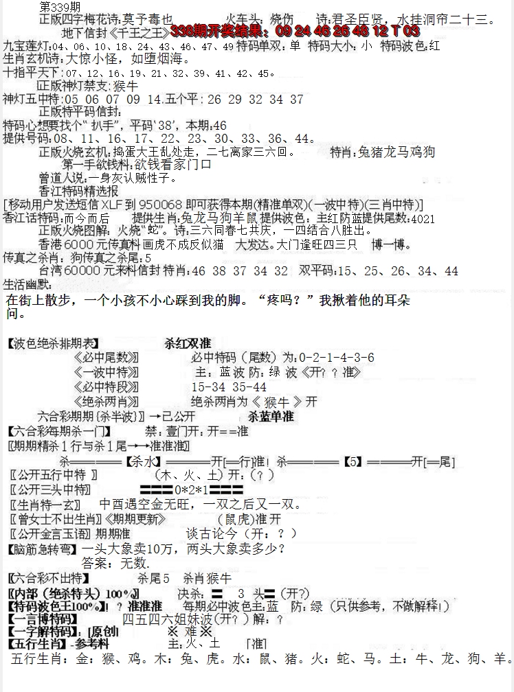 2024339期先锋总刚B