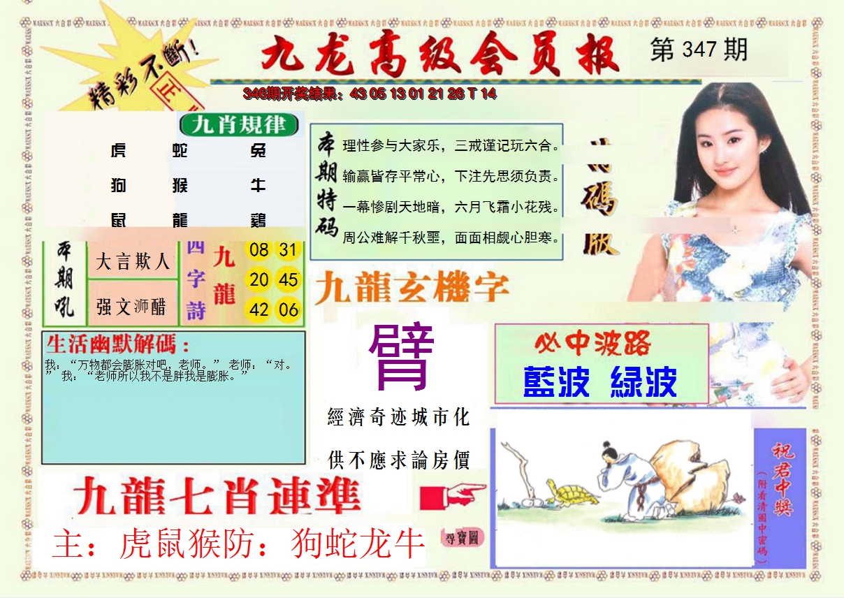 2024347期九龙高级会员报