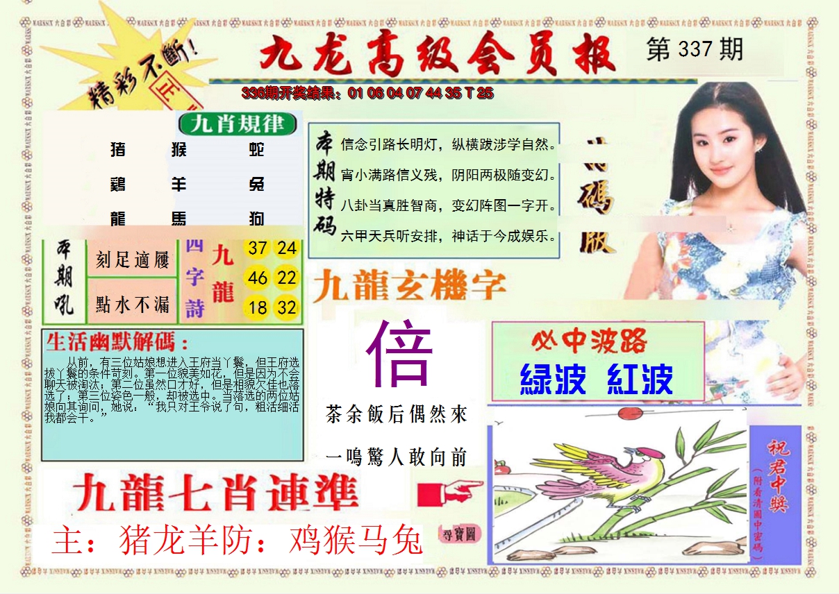 2024337期九龙高级会员报