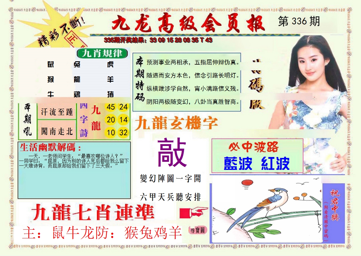 2024336期九龙高级会员报