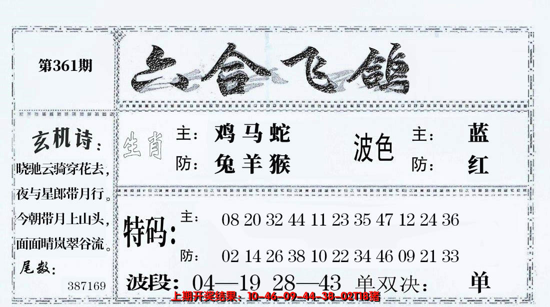 2024361期六合飞鸽