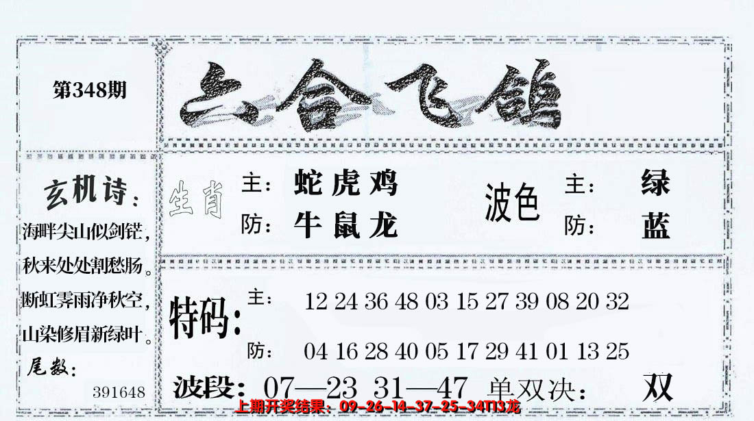 2024348期六合飞鸽