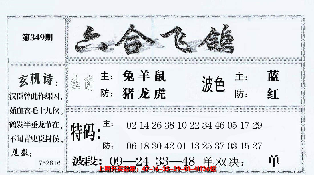 2024349期六合飞鸽