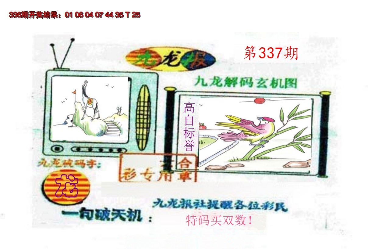 2024337期九龙报