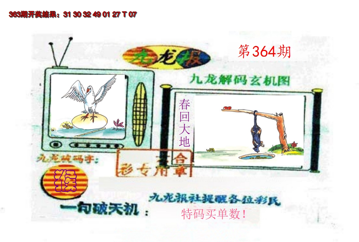 2024364期九龙报