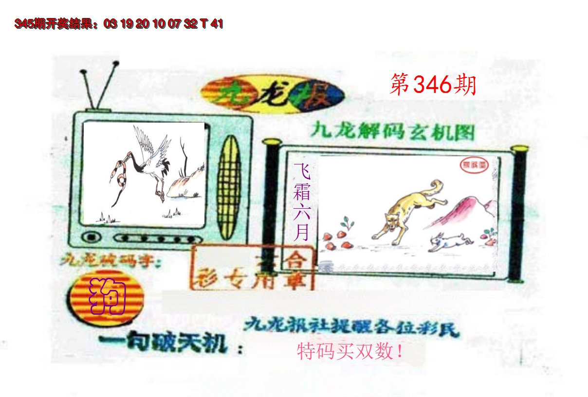 2024346期九龙报