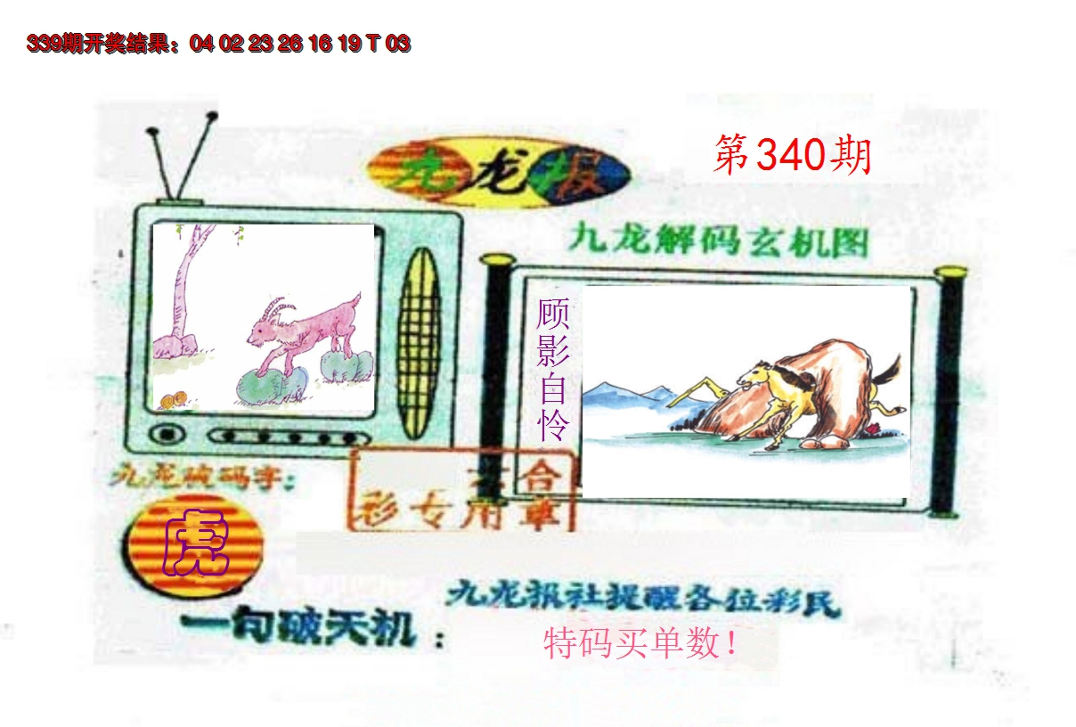 2024340期九龙报