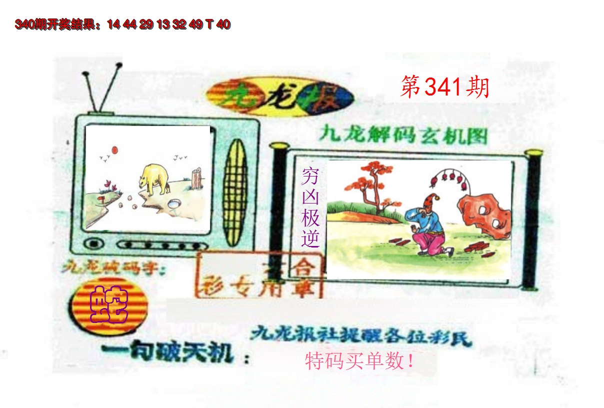 2024341期九龙报