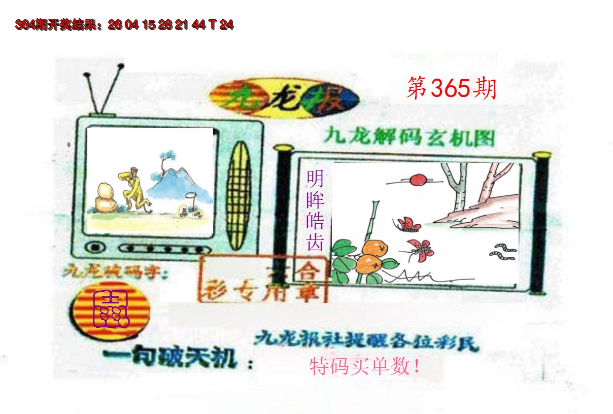 2024365期九龙报
