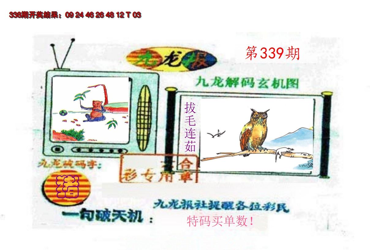 2024339期九龙报