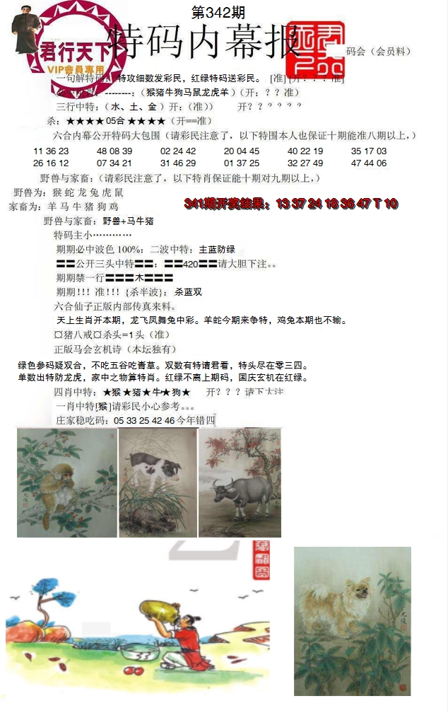 2024342期特码内幕报