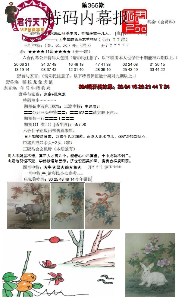 2024365期特码内幕报