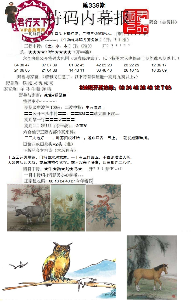 2024339期特码内幕报