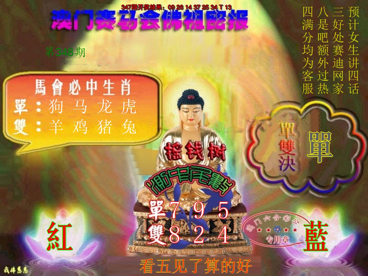 2024348期佛主密报-莲花双宝