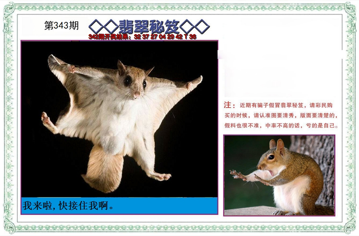 2024343期翡翠秘笈