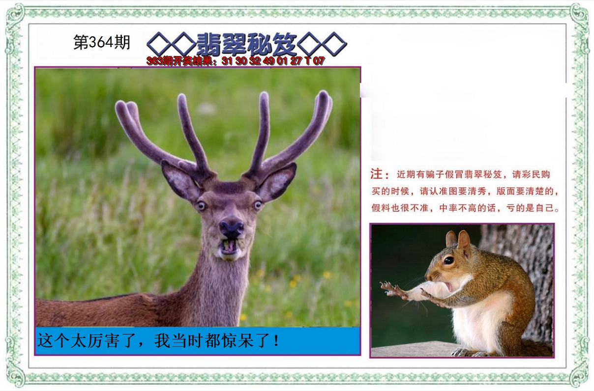 2024364期翡翠秘笈