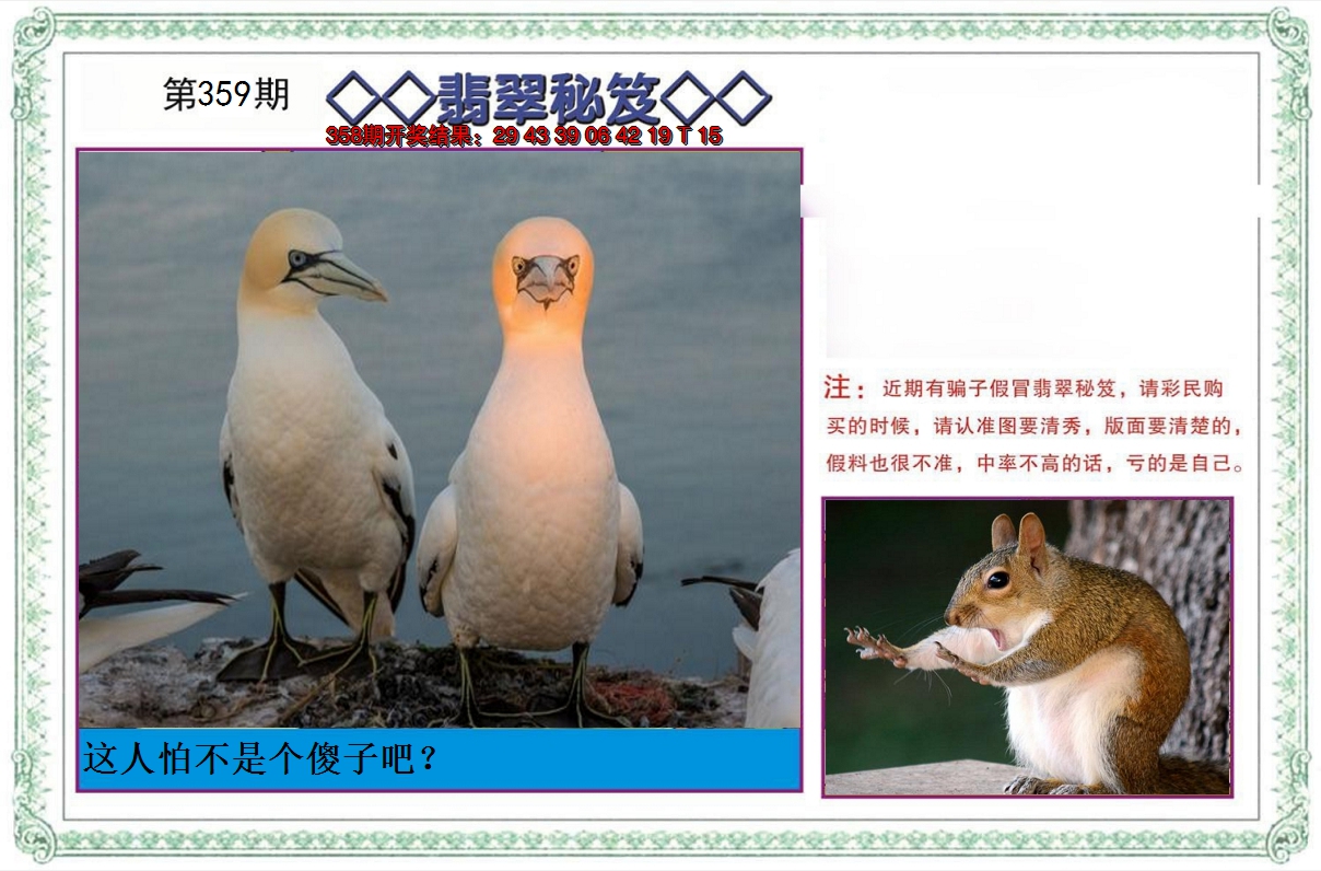 2024359期翡翠秘笈