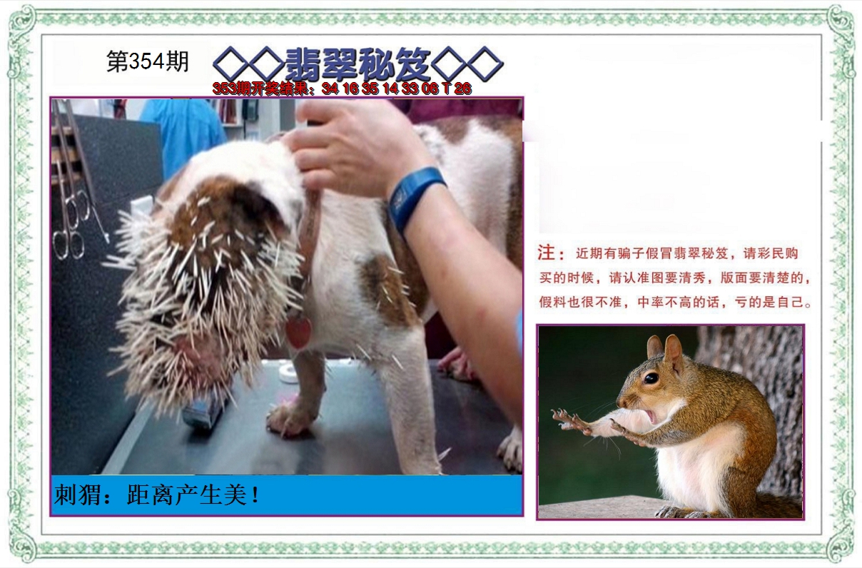 2024354期翡翠秘笈