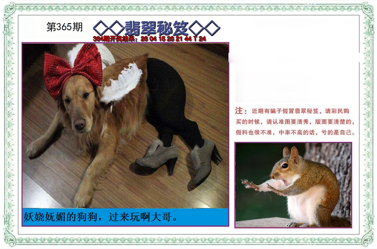 2024365期翡翠秘笈