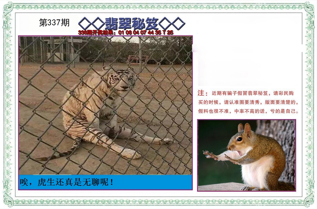 2024337期翡翠秘笈