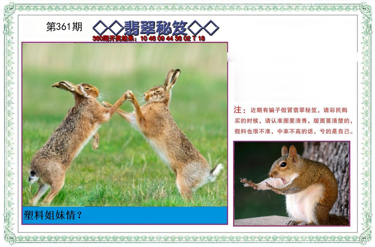2024361期翡翠秘笈