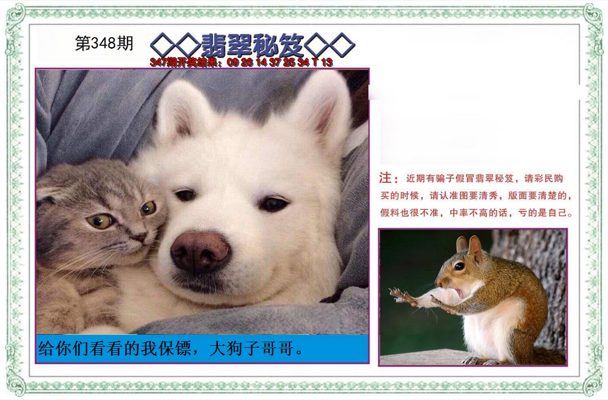 2024348期翡翠秘笈