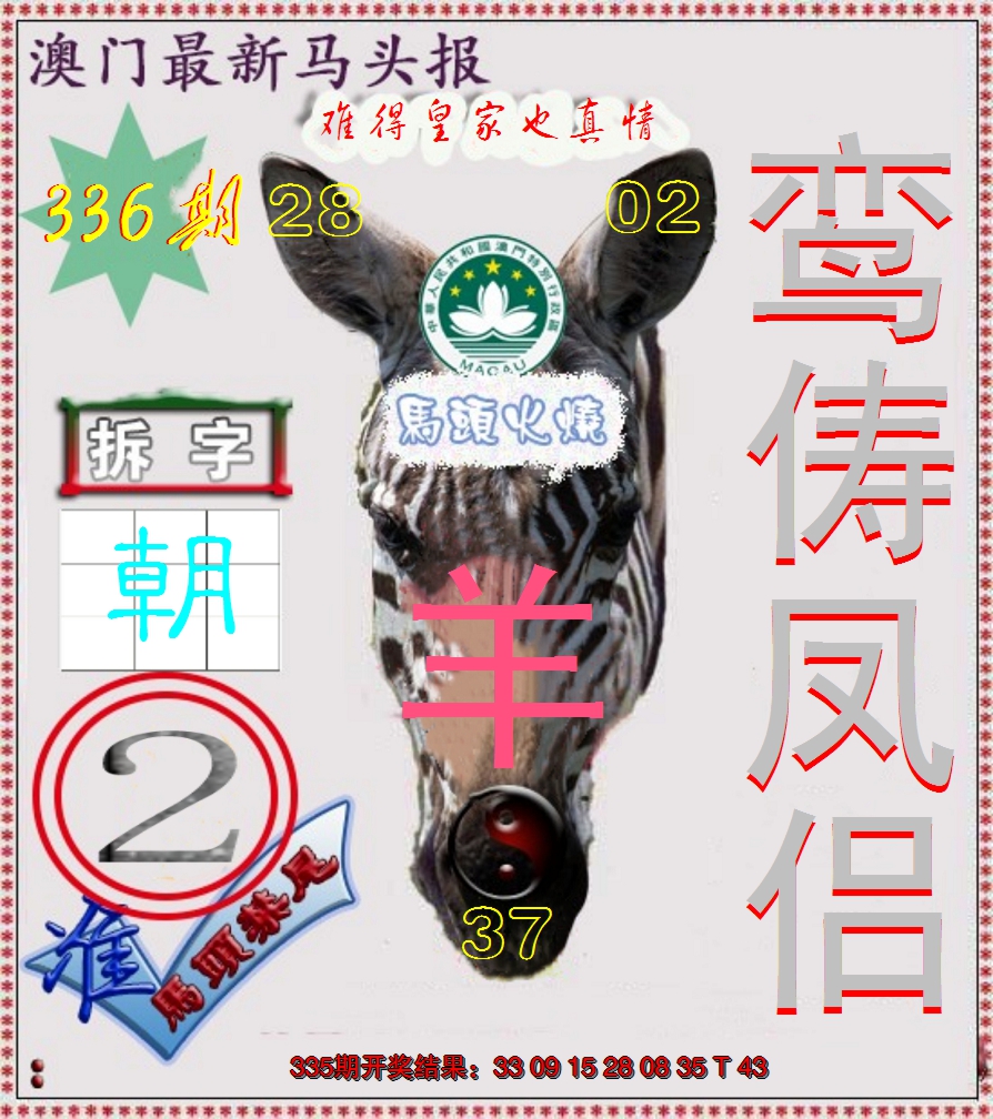 2024336期马头报