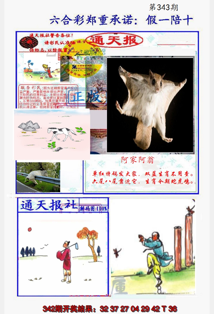 2024343期假一陪十通天报