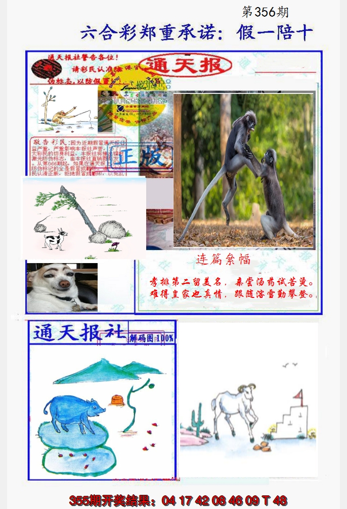 2024356期假一陪十通天报