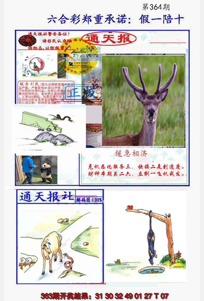 2024364期假一陪十通天报