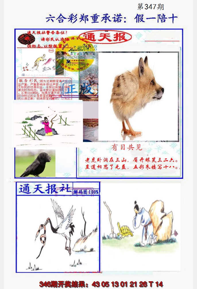 2024347期假一陪十通天报