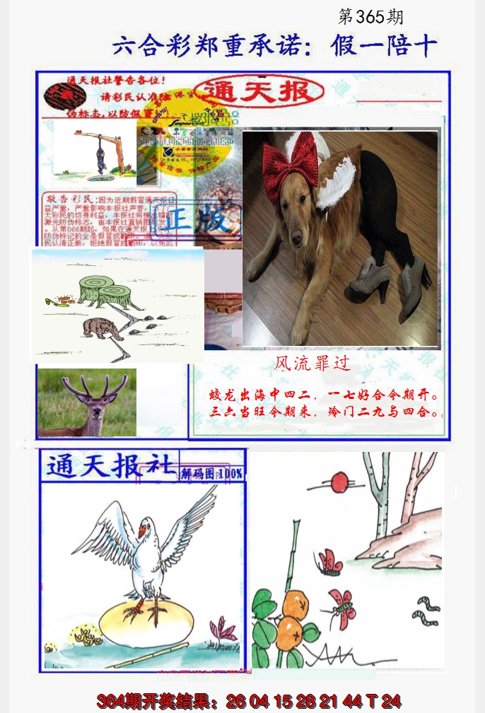 2024365期假一陪十通天报