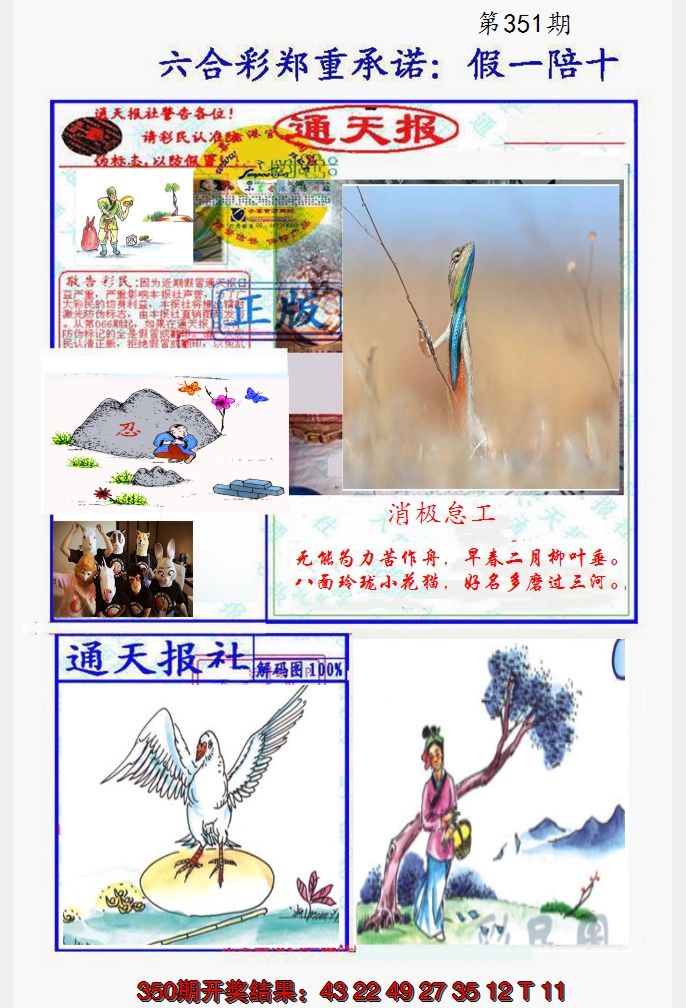2024351期假一陪十通天报