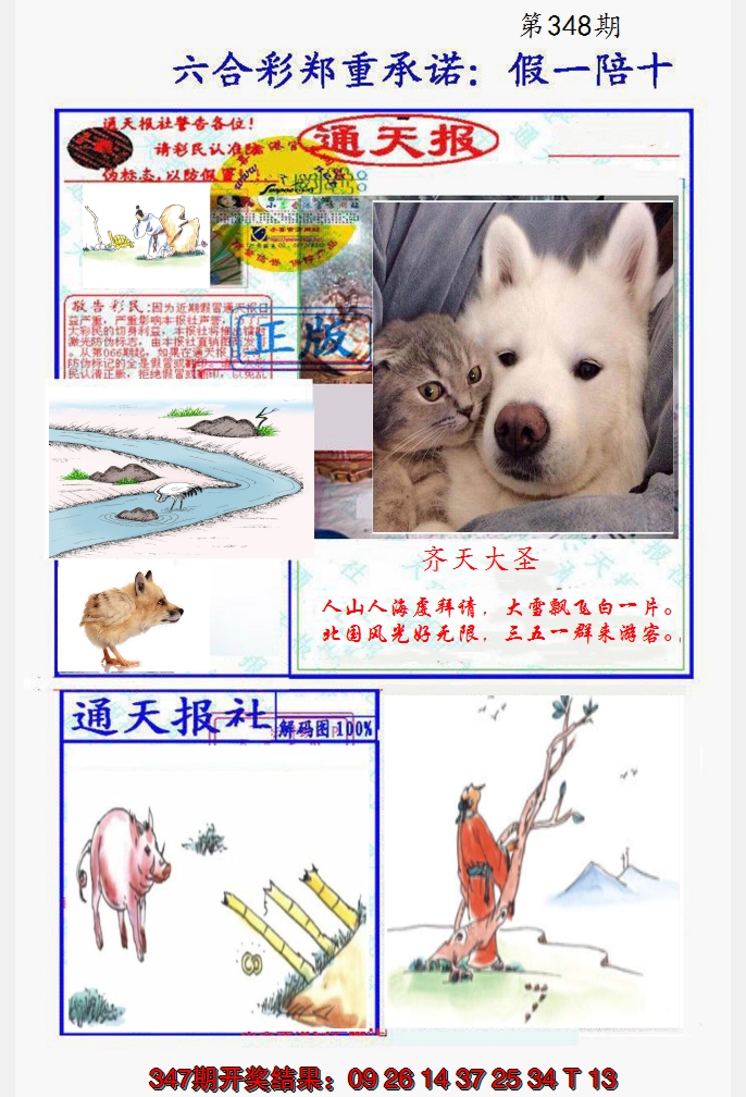 2024348期假一陪十通天报