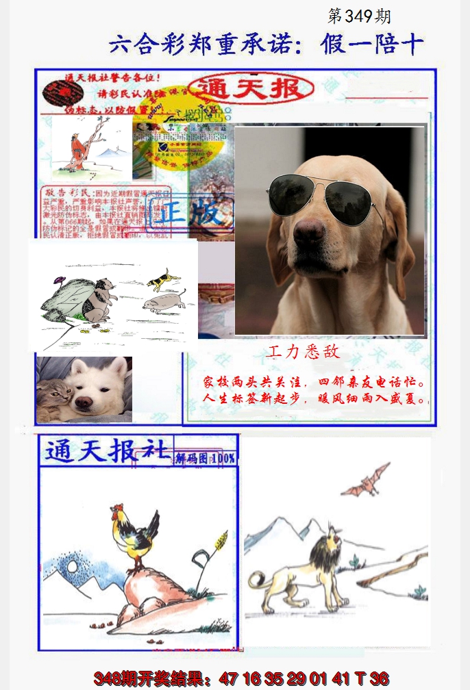 2024349期假一陪十通天报