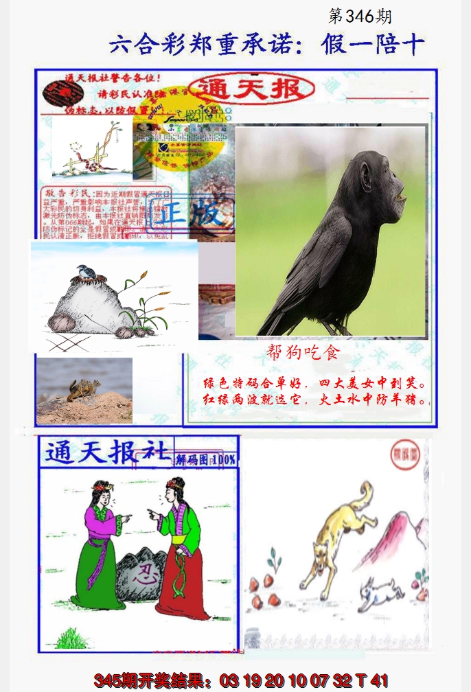 2024346期假一陪十通天报