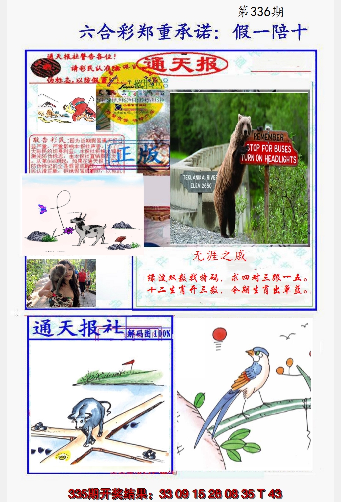 2024336期假一陪十通天报