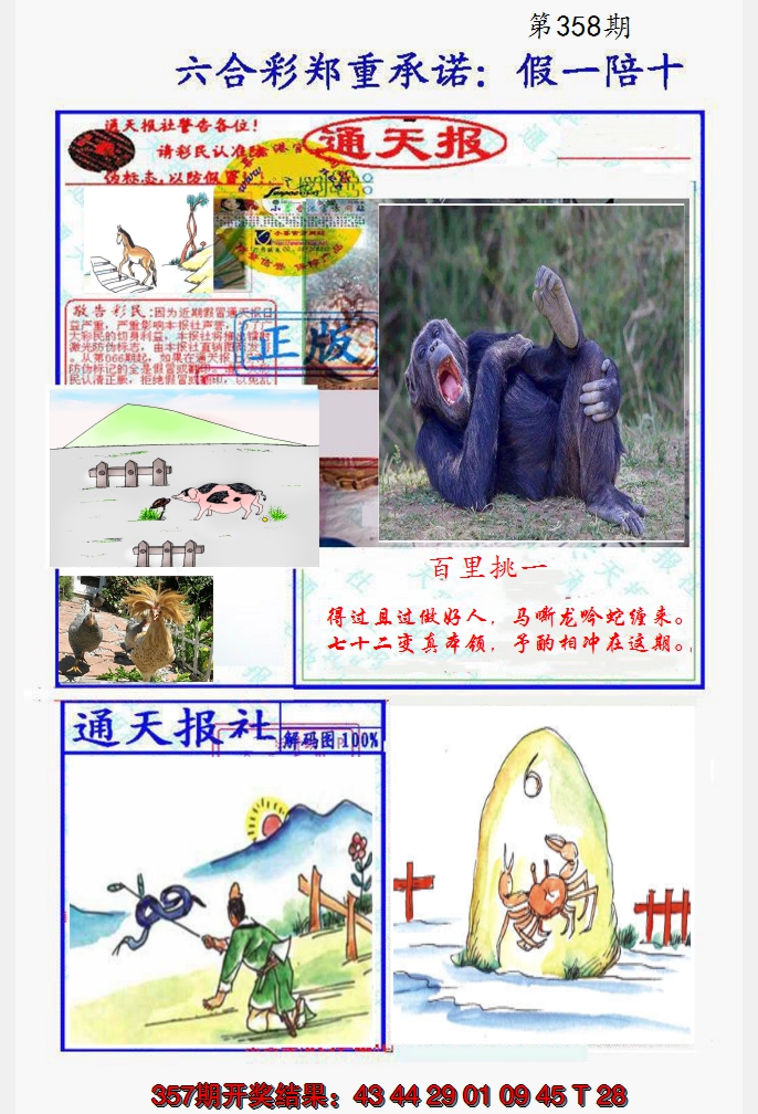 2024358期假一陪十通天报