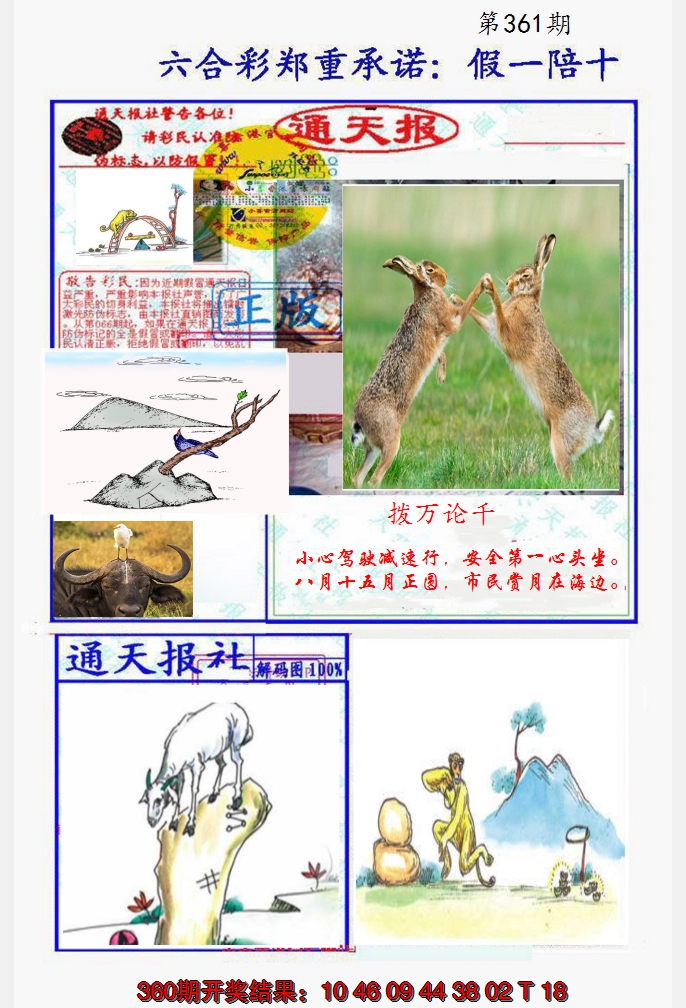 2024361期假一陪十通天报