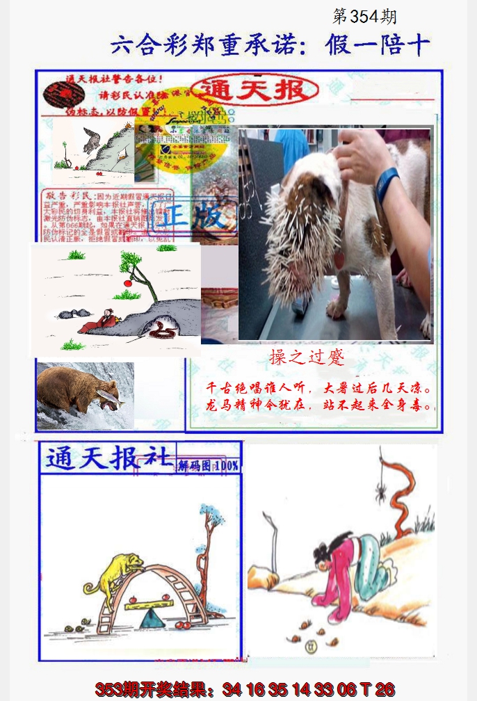 2024354期假一陪十通天报