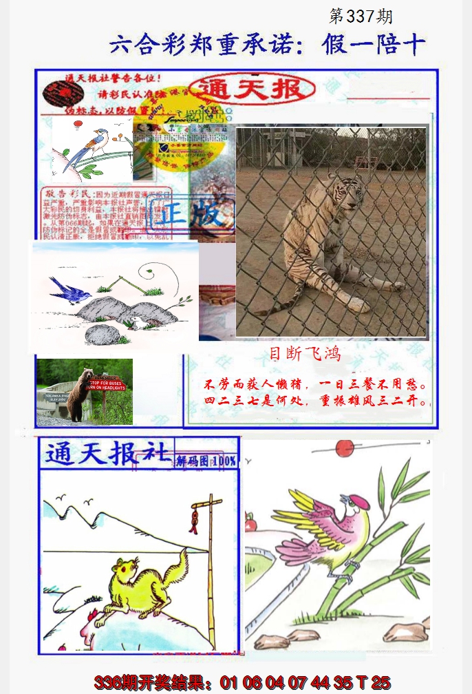 2024337期假一陪十通天报