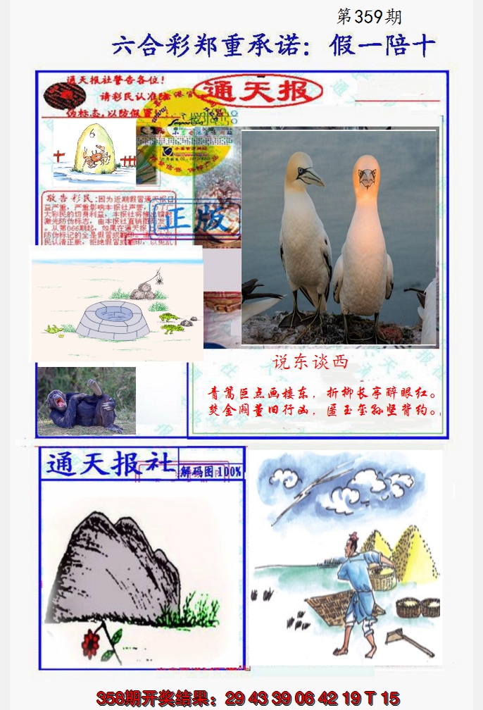 2024359期假一陪十通天报