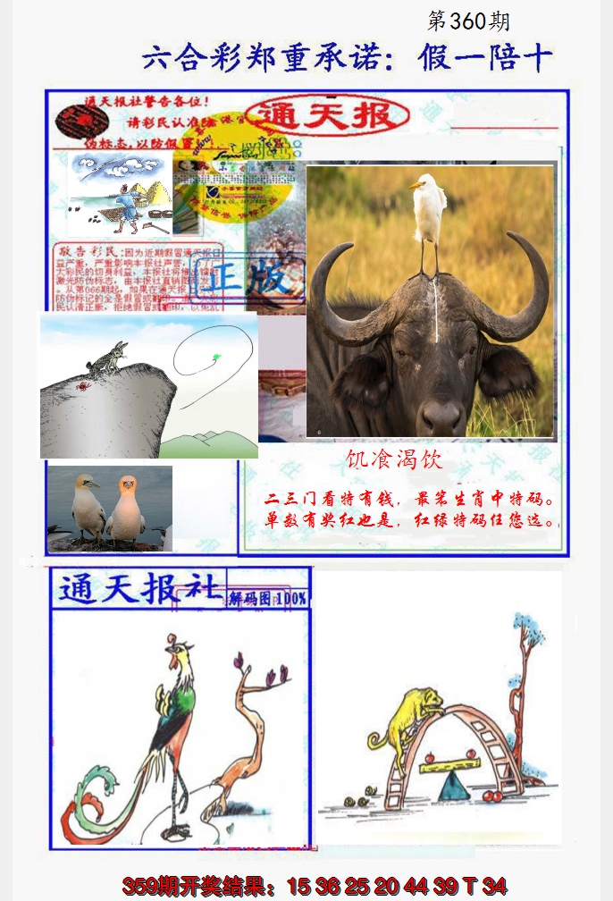 2024360期假一陪十通天报