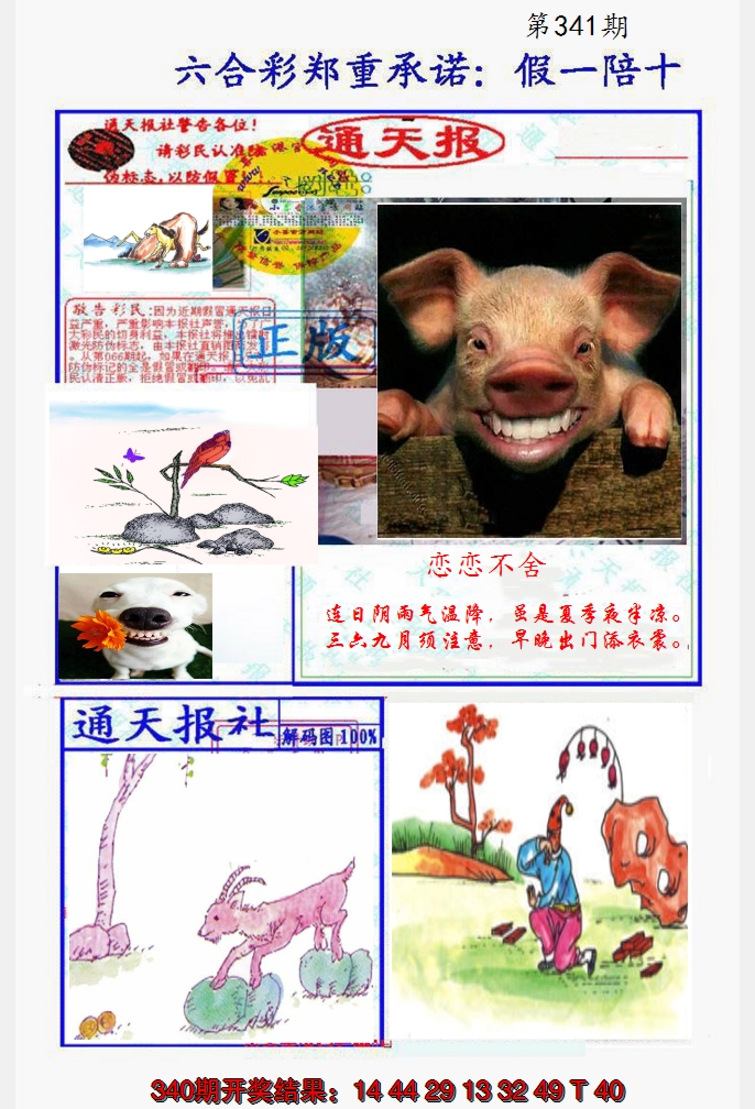 2024341期假一陪十通天报